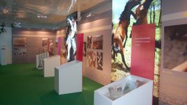 Grupo Norte Eventos expo rapa