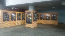 Grupo Norte Eventos camelia
